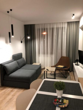 Apartament Comfort Zone Krynica